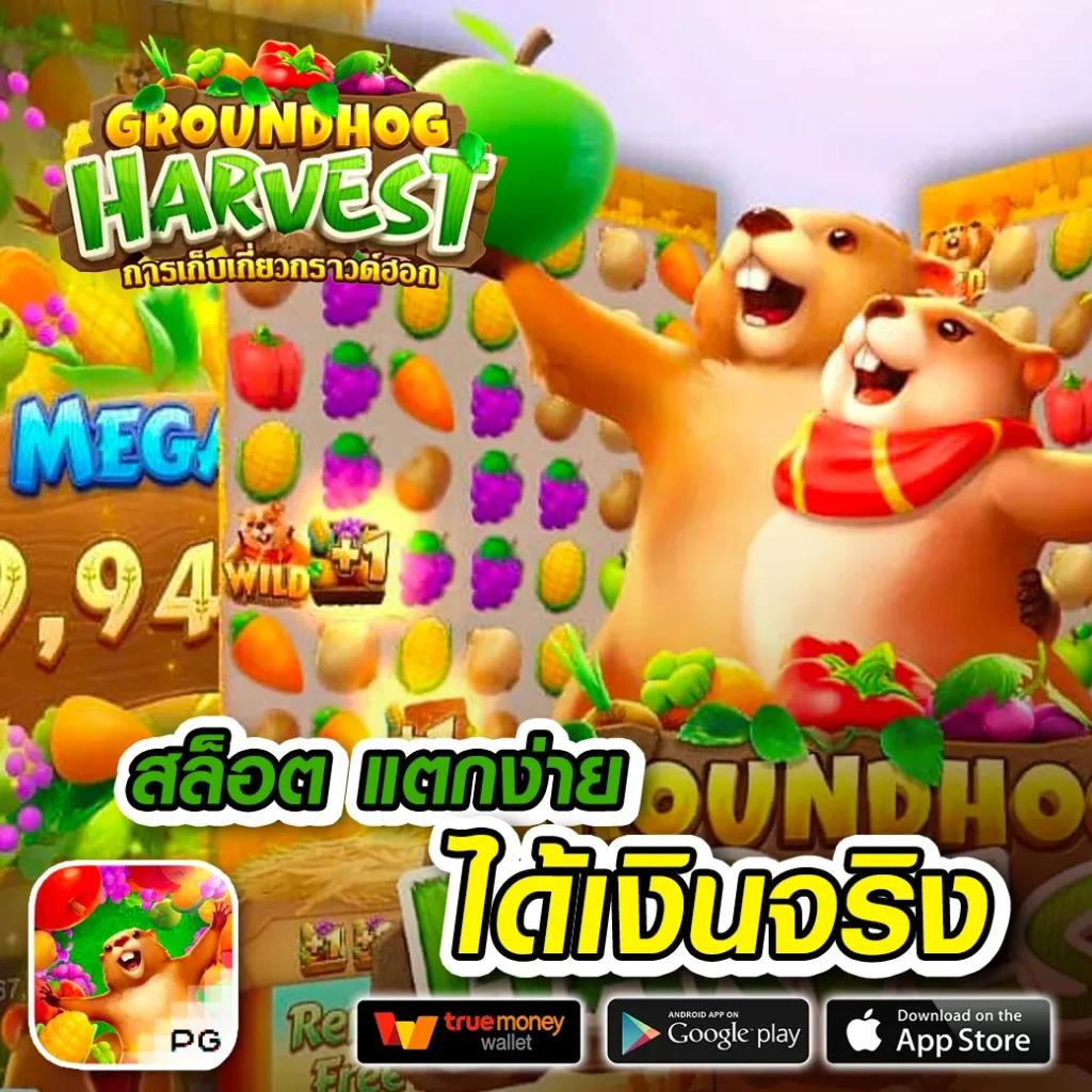 UFABET 911 เทคนิคพนันออนไลน์ระดับแนวหน้า รีวิวเกมคุณภาพใหญ่ที่สุดในไทย